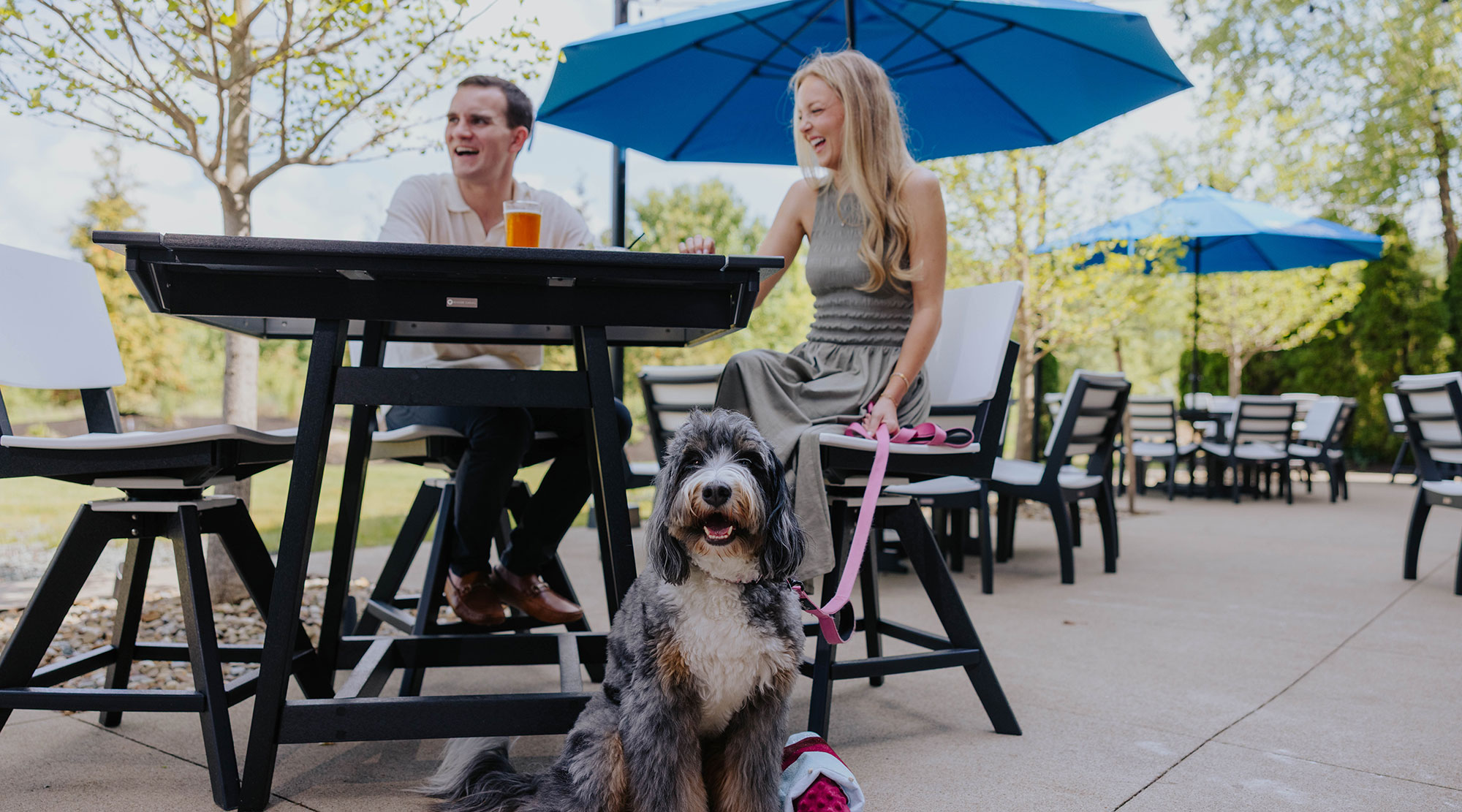 Dog-friendly patio dining at OLINDA at Gervasi in Jackson Township, with guests seated under blue umbrellas and a leashed dog by the table